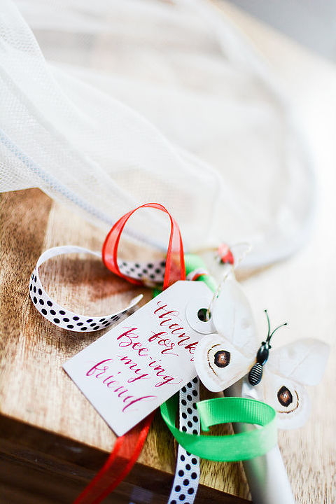 Butterfly nets decorated with hand lettering and ribbons 