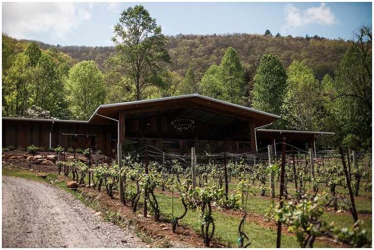 Vineyard Wedding Venue Sylva, NC