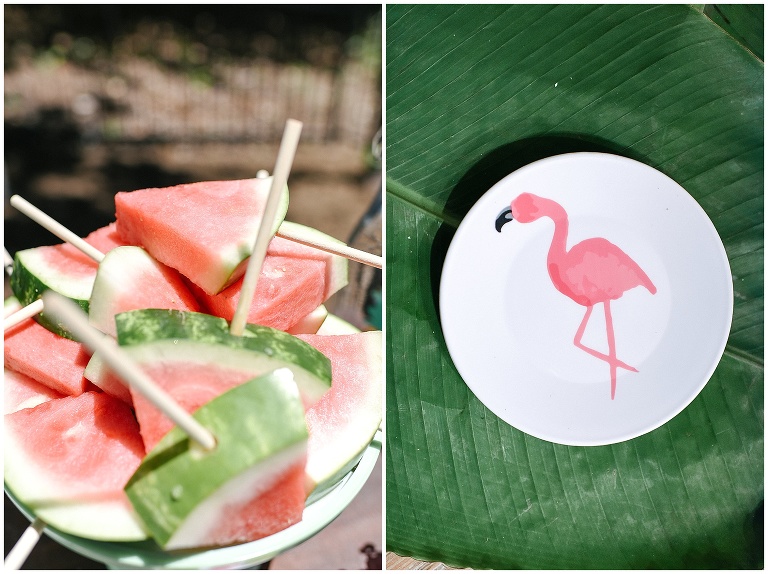 Flamingo plate and watermelon on a stick