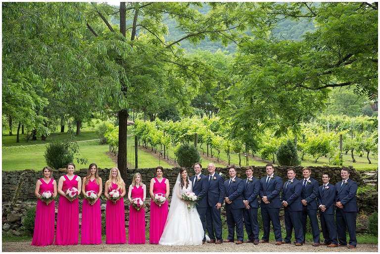 Stunning bridal party in front of vineyards in Sylva, NC